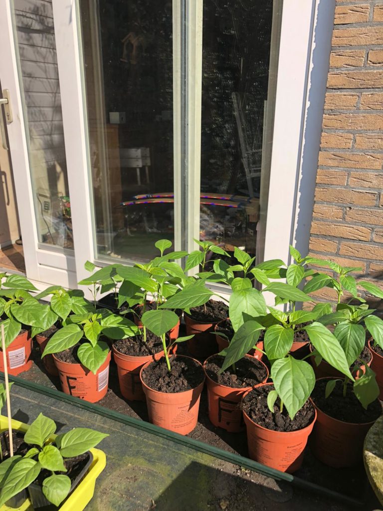 26 maart 2020: Voor het eerst buitenspelen